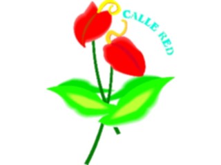 Sticker Custom Preview Image #103106 Plants Flowers Flowers Calle Red