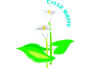 Sticker Custom Preview Image #103107 Plants Flowers Flowers Calle White