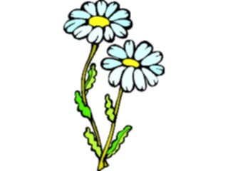 Sticker Custom Preview Image #103111 Plants Flowers Flowers Camomile3