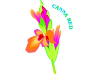 Sticker Custom Preview Image #103116 Plants Flowers Flowers Canna Red