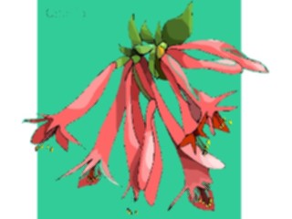 Sticker Custom Preview Image #103118 Plants Flowers Flowers Caprifoil