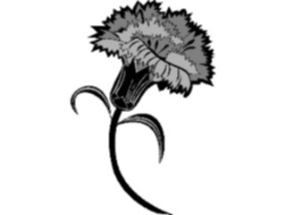 Sticker Custom Preview Image #103121 Plants Flowers Flowers Carnation3