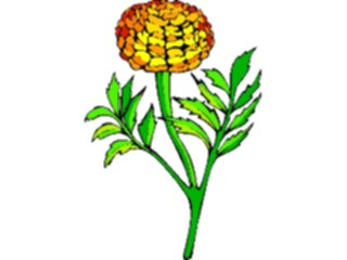 Sticker Custom Preview Image #103122 Plants Flowers Flowers Carnation4