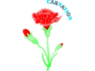 Sticker Custom Preview Image #103127 Plants Flowers Flowers Carnation9