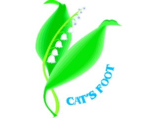 Sticker Custom Preview Image #103130 Plants Flowers Flowers Cats Foot