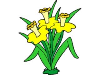 Sticker Custom Preview Image #103168 Plants Flowers Flowers Daffodils2
