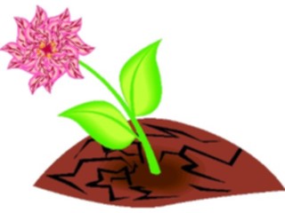 Sticker Custom Preview Image #103170 Plants Flowers Flowers Dahlia1