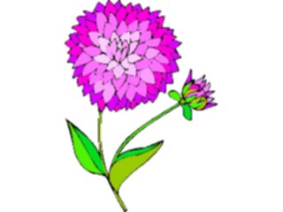 Sticker Custom Preview Image #103172 Plants Flowers Flowers Dahlia3