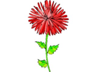 Sticker Custom Preview Image #103173 Plants Flowers Flowers Dahlia4