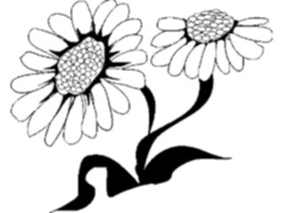 Sticker Custom Preview Image #103175 Plants Flowers Flowers Daisies1
