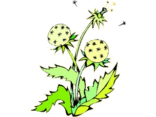 Sticker Custom Preview Image #103183 Plants Flowers Flowers Dandelion03