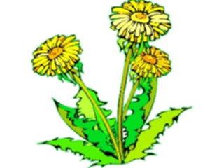 Sticker Custom Preview Image #103185 Plants Flowers Flowers Dandelion05