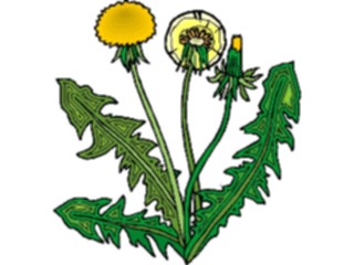 Sticker Custom Preview Image #103187 Plants Flowers Flowers Dandelion07