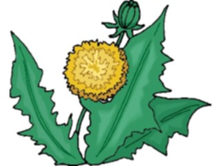 Sticker Custom Preview Image #103189 Plants Flowers Flowers Dandelion09