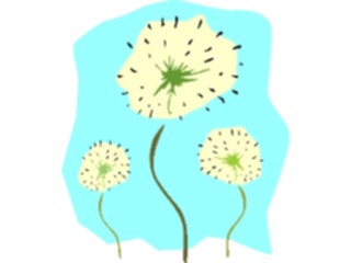 Sticker Custom Preview Image #103193 Plants Flowers Flowers Dandelions