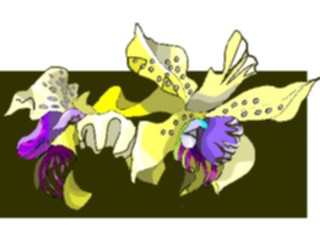 Sticker Custom Preview Image #103194 Plants Flowers Flowers Dendrobium Atroviolaceum