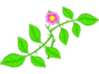 Sticker Custom Preview Image #103195 Plants Flowers Flowers Dog Rose1