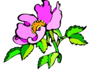 Sticker Custom Preview Image #103196 Plants Flowers Flowers Dog Rose2