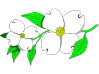 Sticker Custom Preview Image #103198 Plants Flowers Flowers Dogwood2