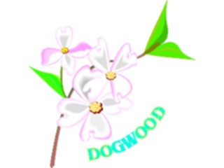 Sticker Custom Preview Image #103199 Plants Flowers Flowers Dogwood3