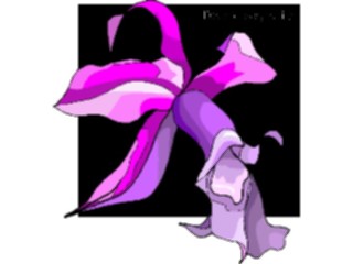 Sticker Custom Preview Image #103200 Plants Flowers Flowers Double Edged Lily