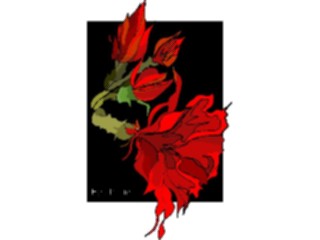 Sticker Custom Preview Image #103202 Plants Flowers Flowers Epiphillum