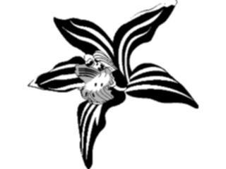 Sticker Custom Preview Image #103258 Plants Flowers Flowers Flower048