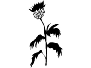 Sticker Custom Preview Image #103297 Plants Flowers Flowers Flower087