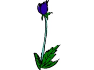 Sticker Custom Preview Image #103311 Plants Flowers Flowers Flower101