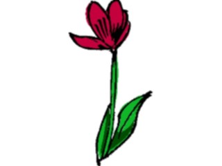 Sticker Custom Preview Image #103312 Plants Flowers Flowers Flower102