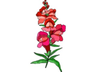 Sticker Custom Preview Image #103420 Plants Flowers Flowers Flower210