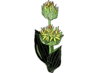 Sticker Custom Preview Image #103540 Plants Flowers Flowers Flower330