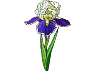 Sticker Custom Preview Image #103592 Plants Flowers Flowers Flower382