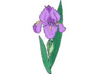Sticker Custom Preview Image #103699 Plants Flowers Flowers Flower489