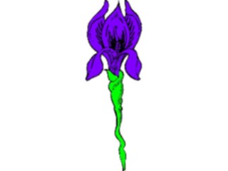 Sticker Custom Preview Image #103707 Plants Flowers Flowers Flower497