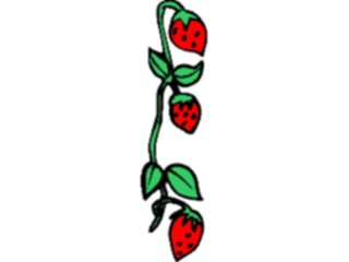 Sticker Custom Preview Image #103812 Plants Flowers Flowers Flower Border019