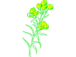 Sticker Custom Preview Image #104185 Plants Flowers Flowers Flowers101