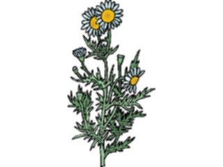 Sticker Custom Preview Image #104352 Plants Flowers Flowers Flowers268