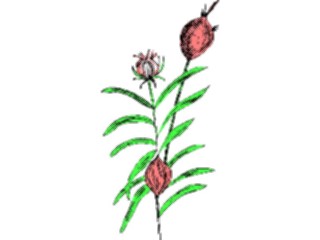 Sticker Custom Preview Image #104418 Plants Flowers Flowers Flowers334
