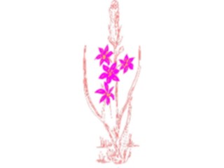 Sticker Custom Preview Image #104450 Plants Flowers Flowers Flowers366