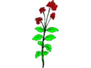 Sticker Custom Preview Image #104452 Plants Flowers Flowers Flowers368