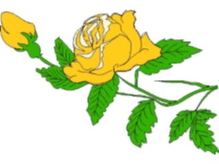 Sticker Custom Preview Image #104666 Plants Flowers Flowers Rose04