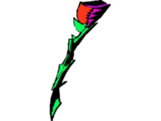 Sticker Custom Preview Image #104678 Plants Flowers Flowers Rose16