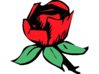 Sticker Custom Preview Image #104680 Plants Flowers Flowers Rose18
