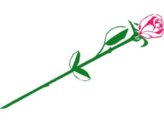 Sticker Custom Preview Image #104683 Plants Flowers Flowers Rose21
