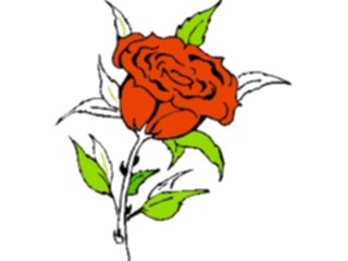 Sticker Custom Preview Image #104685 Plants Flowers Flowers Rose23