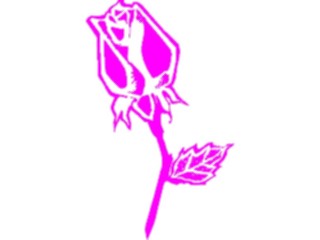 Sticker Custom Preview Image #104687 Plants Flowers Flowers Rose25