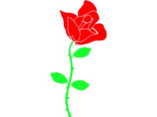 Sticker Custom Preview Image #104688 Plants Flowers Flowers Rose26