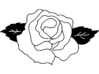 Sticker Custom Preview Image #104689 Plants Flowers Flowers Rose27