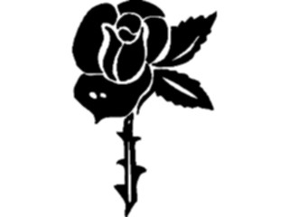Sticker Custom Preview Image #104704 Plants Flowers Flowers Rose42